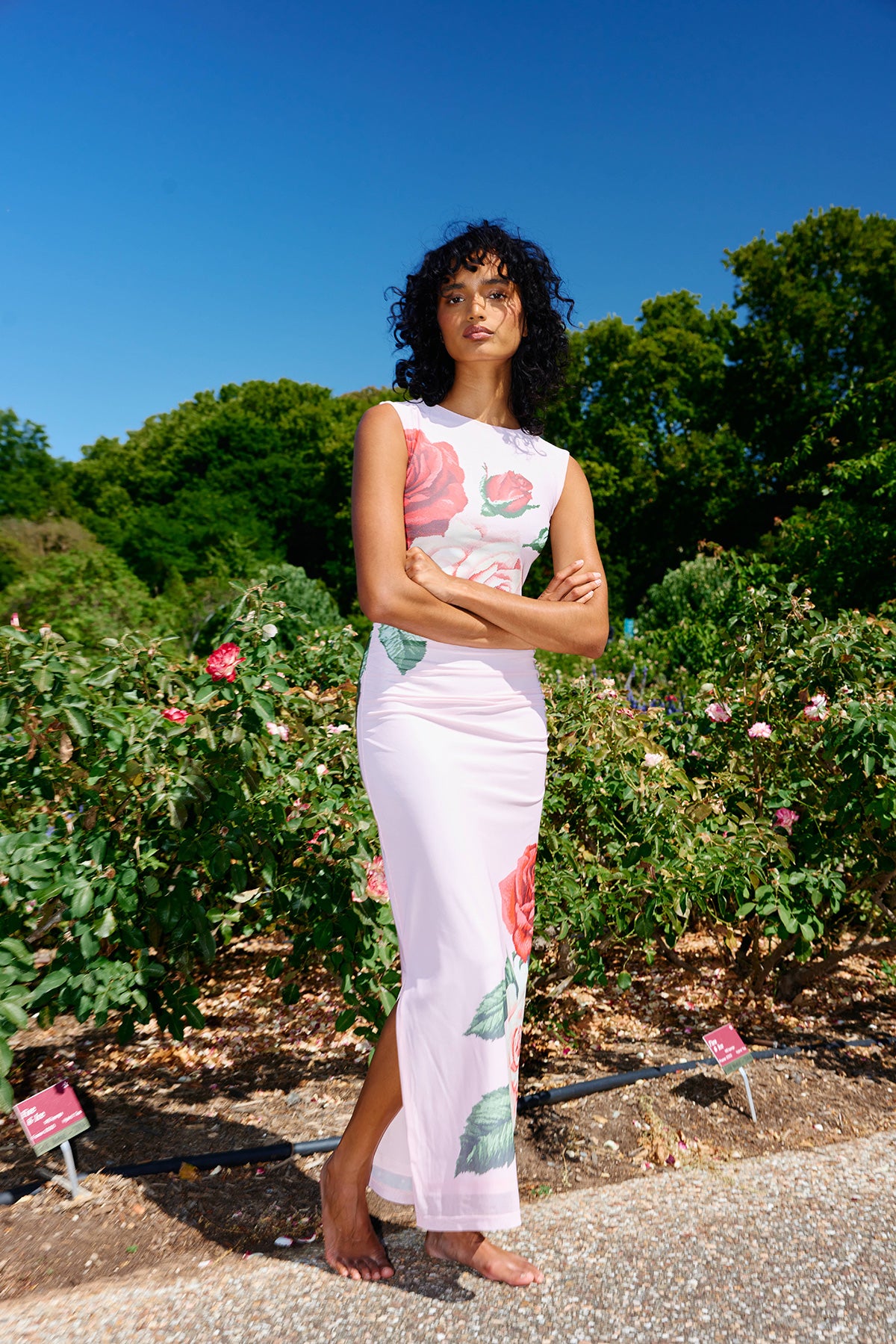 ARIEL DRESS BABY ROSE  Aston Studio