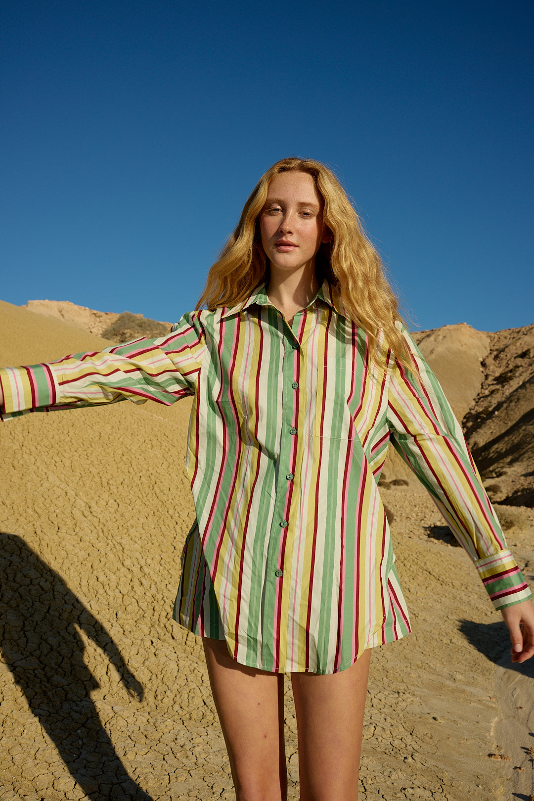 BUDDY SHIRT MEADOW STRIPE