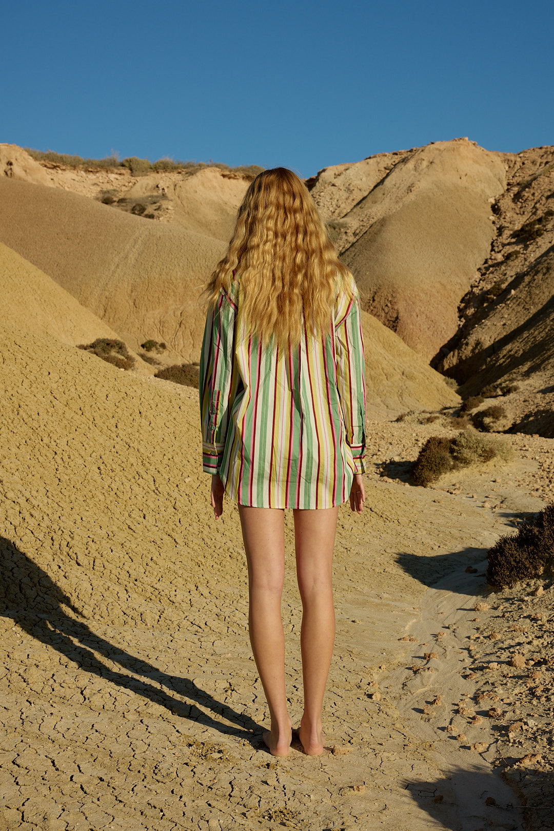 BUDDY SHIRT MEADOW STRIPE