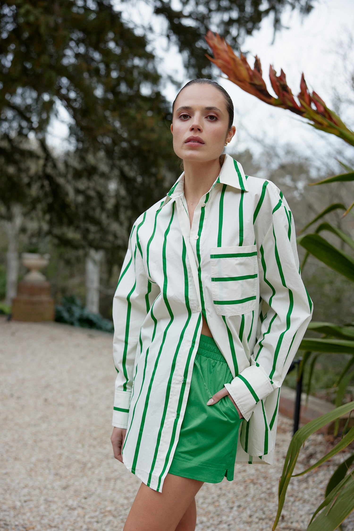 THE BUDDY SHIRT IN MANTIS/ANTIQUE STRIPE