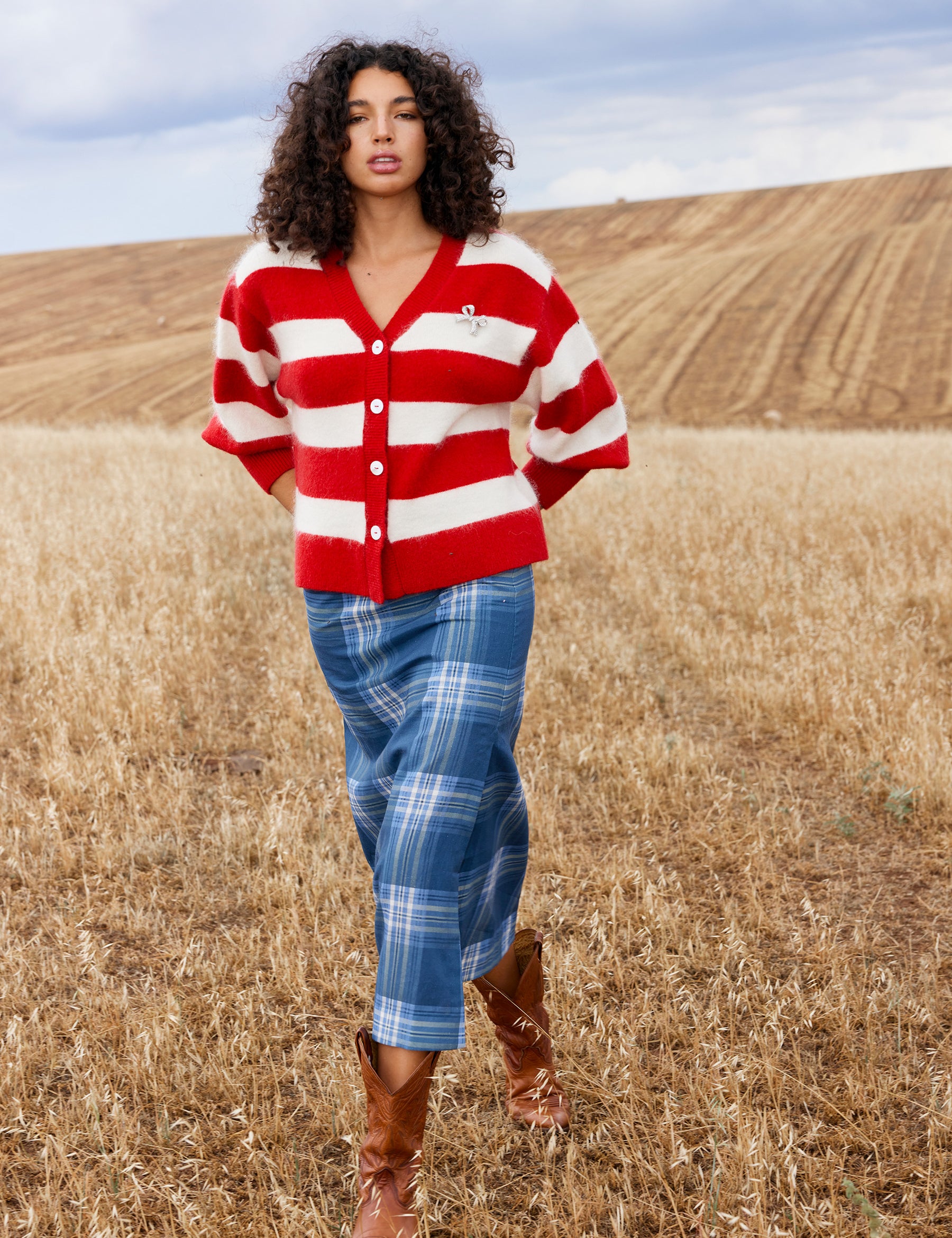 AS22590AGNESCARDIRUBYANTIQUESTRIPE2_5712c038-56da-4efc-94ce-873298dc19b1.jpg