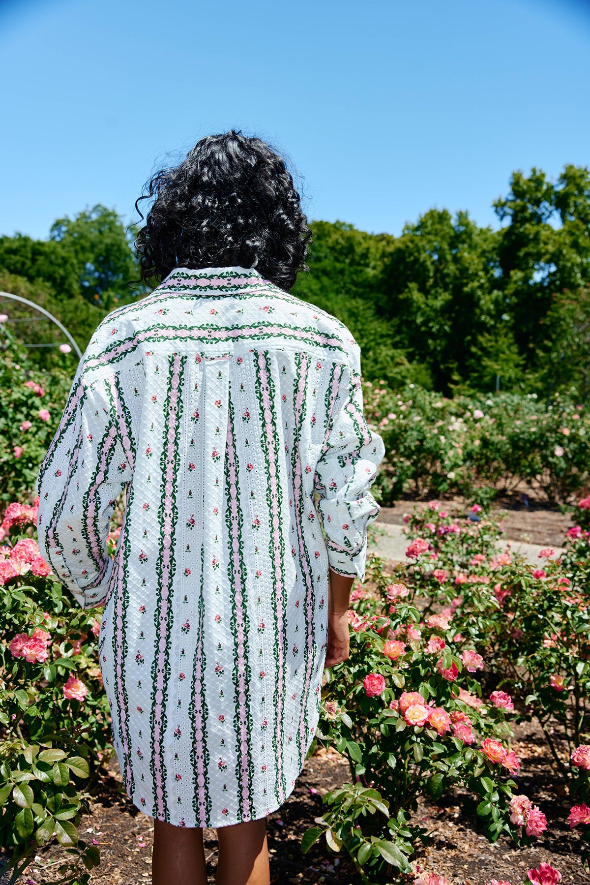 BUDDY SHIRT ANTIQUE ROSE STRIPE