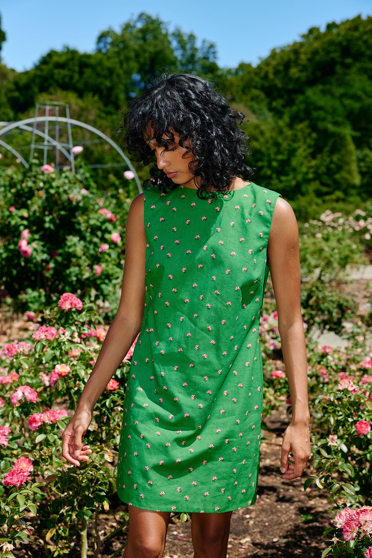 AS32513LOELLEDRESSLEAFROSE6.jpg