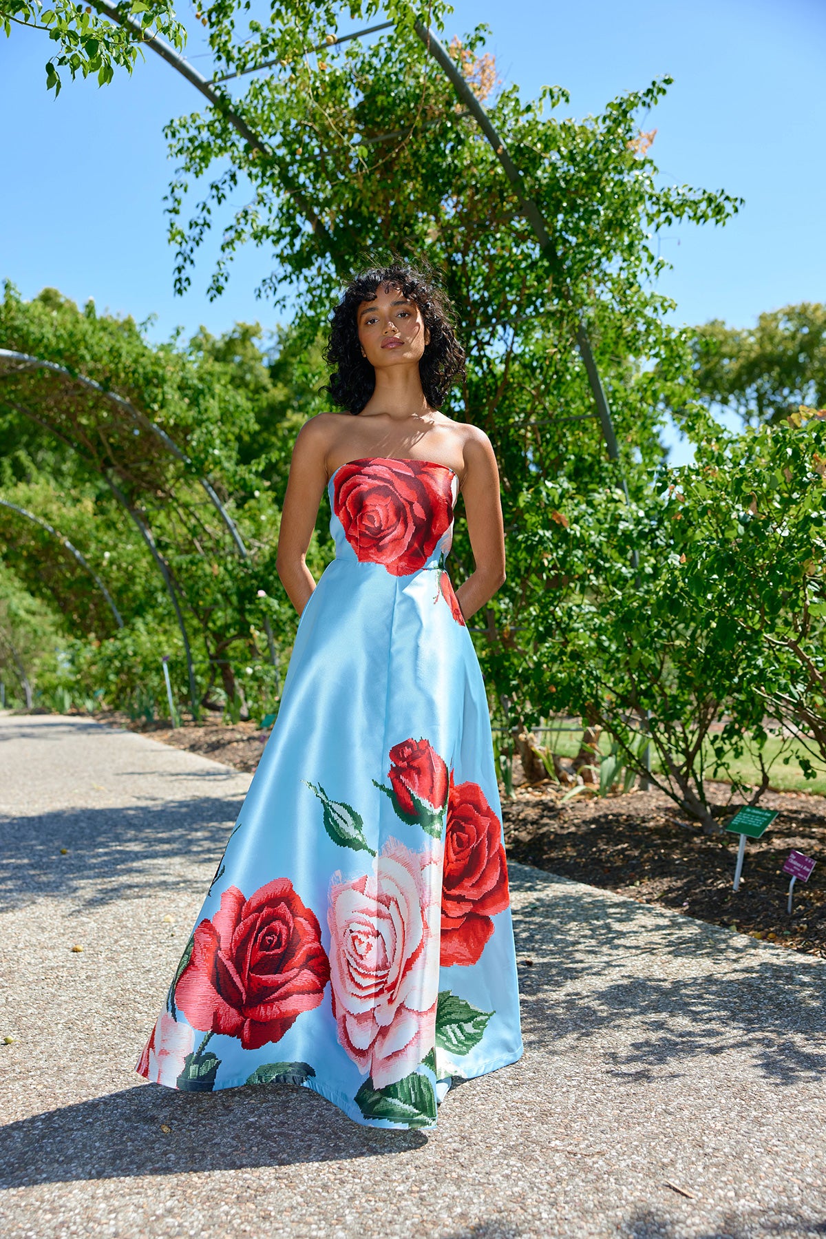 AS32519AUDREYDRESSARCTICROSE19.jpg
