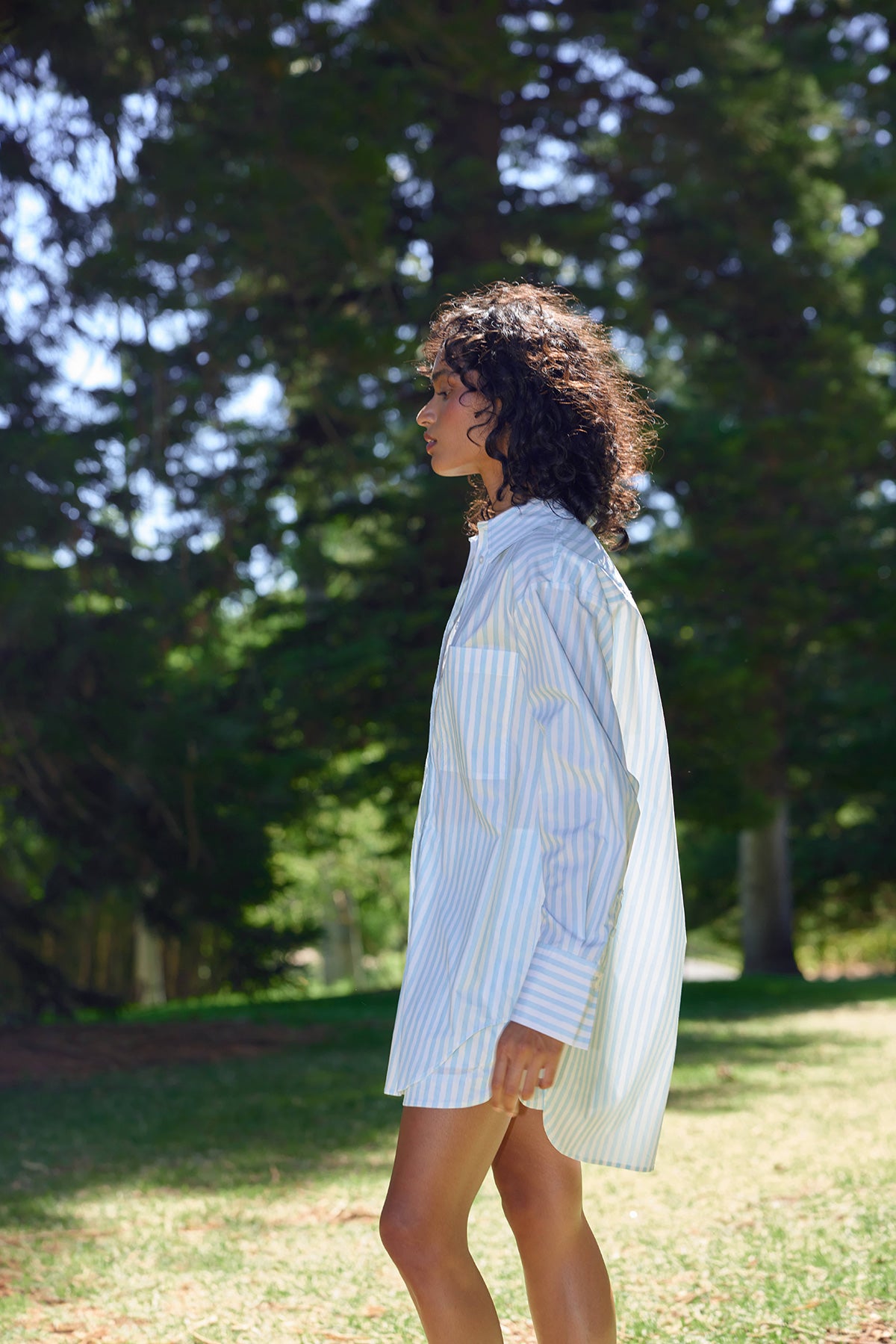 BUDDY SHIRT ARCTIC STRIPE