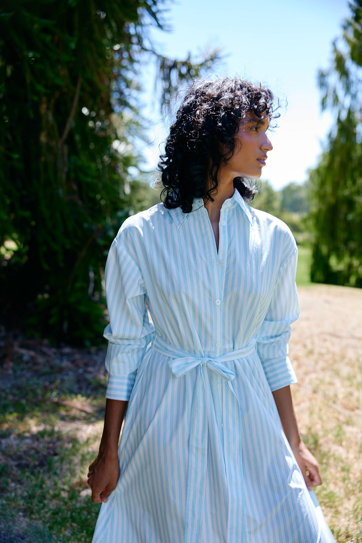 AS32569ARLETDRESSARCTICSTRIPE14.jpg