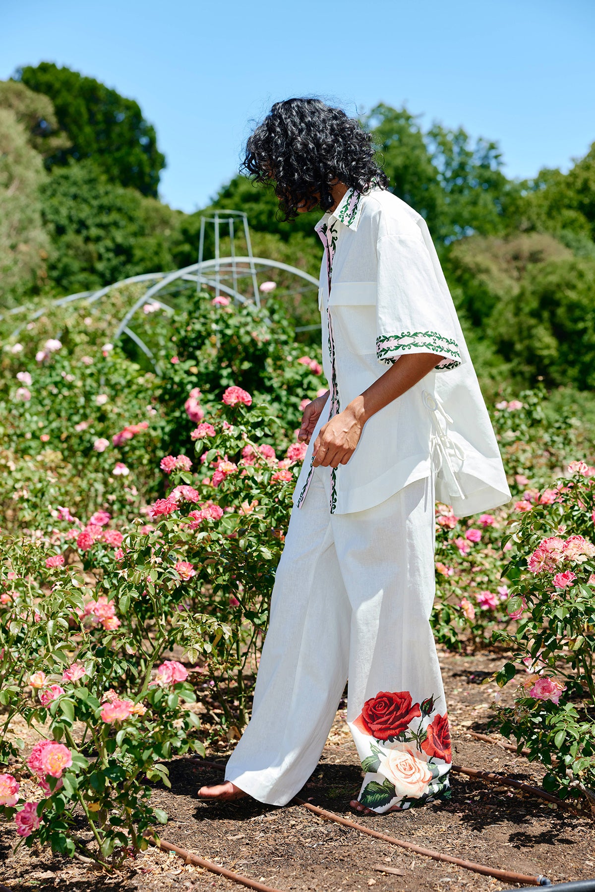 AS32574REMYPANTANTIQUEROSE12.jpg