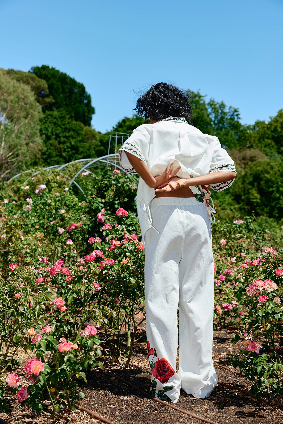 REMY PANT ANTIQUE ROSE