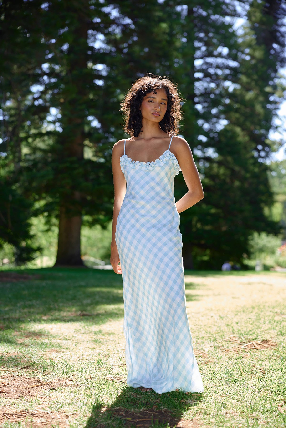 AS32590POSEYDRESSARCTICGINGHAM39.jpg