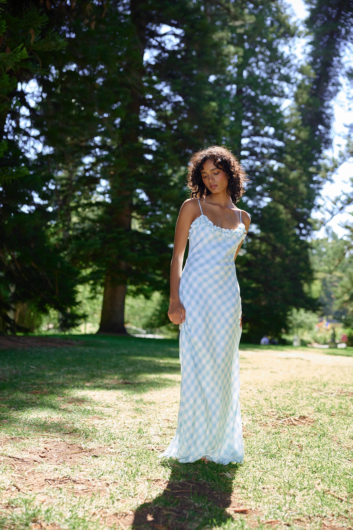 AS32590POSEYDRESSARCTICGINGHAM41.jpg