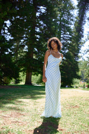 POSEY DRESS ARCTIC GINGHAM