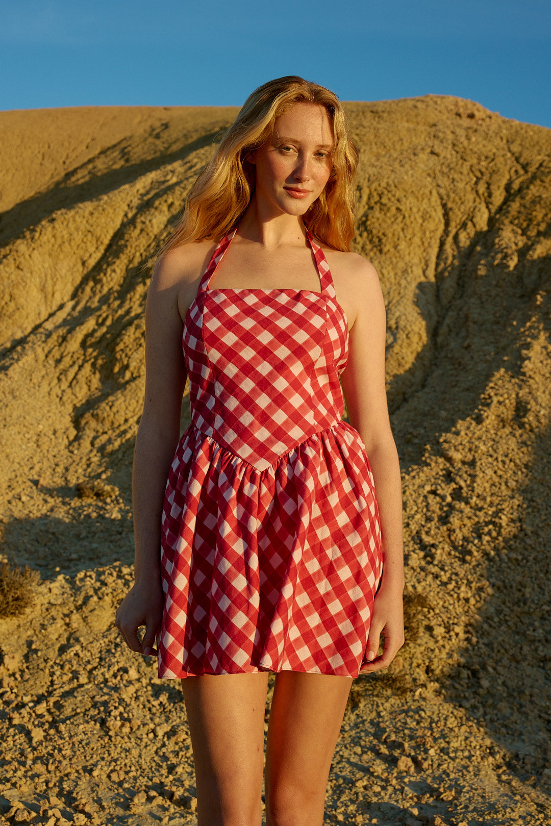 AS425109_POLLY_MINI_DRESS_REDCURRANT_GINGHAM_3.jpg