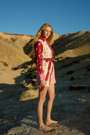 DEMI DRESS RECURRANT MULTI