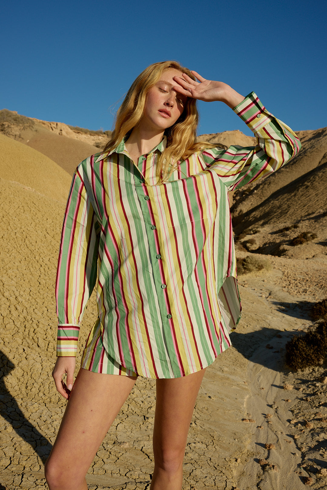 BUDDY SHIRT MEADOW STRIPE