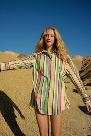 BUDDY SHIRT MEADOW STRIPE