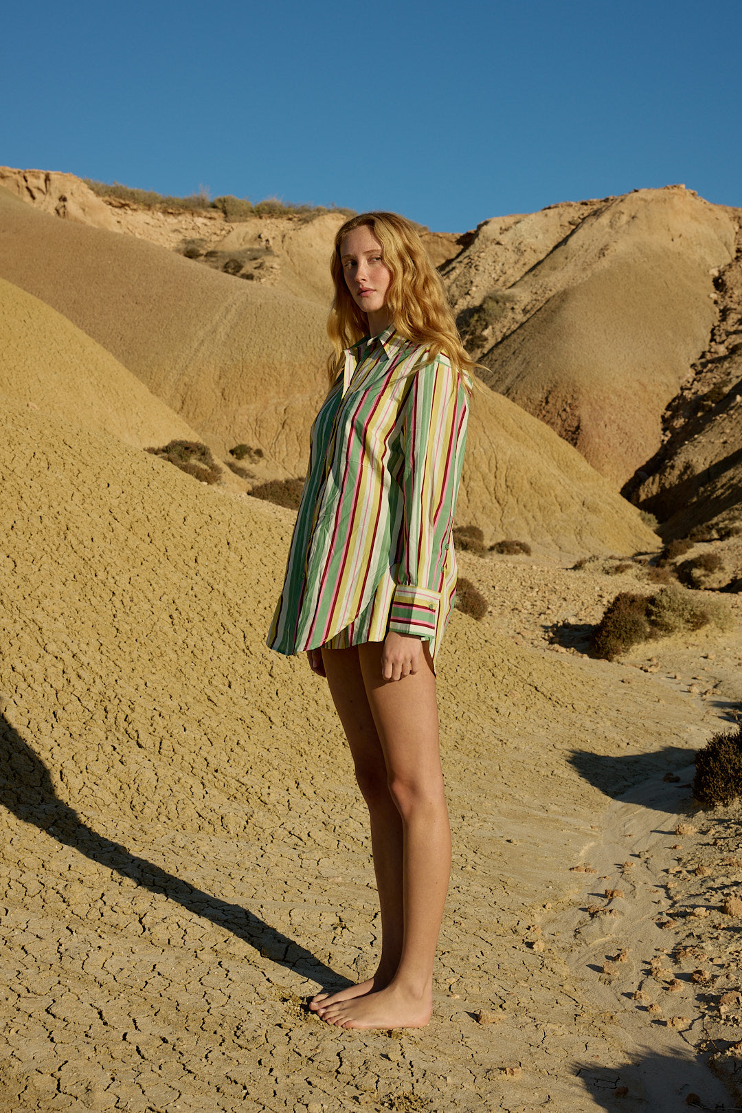 BUDDY SHIRT MEADOW STRIPE