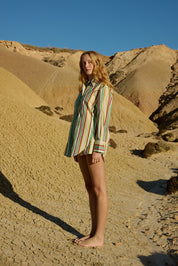 BUDDY SHIRT MEADOW STRIPE