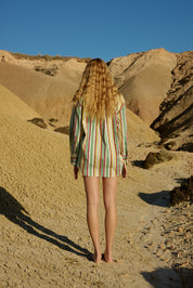 BUDDY SHIRT MEADOW STRIPE