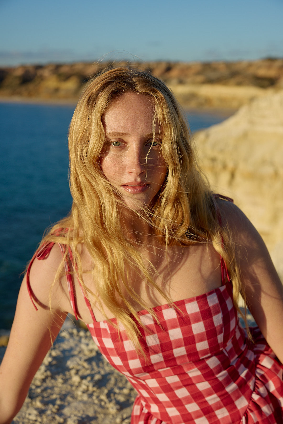 POLLY DRESS REDCURRANT GINGHAM