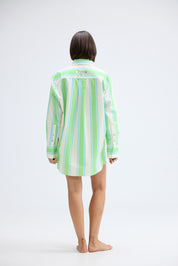 BUDDY SHIRT IN FERN LAPIS STRIPE