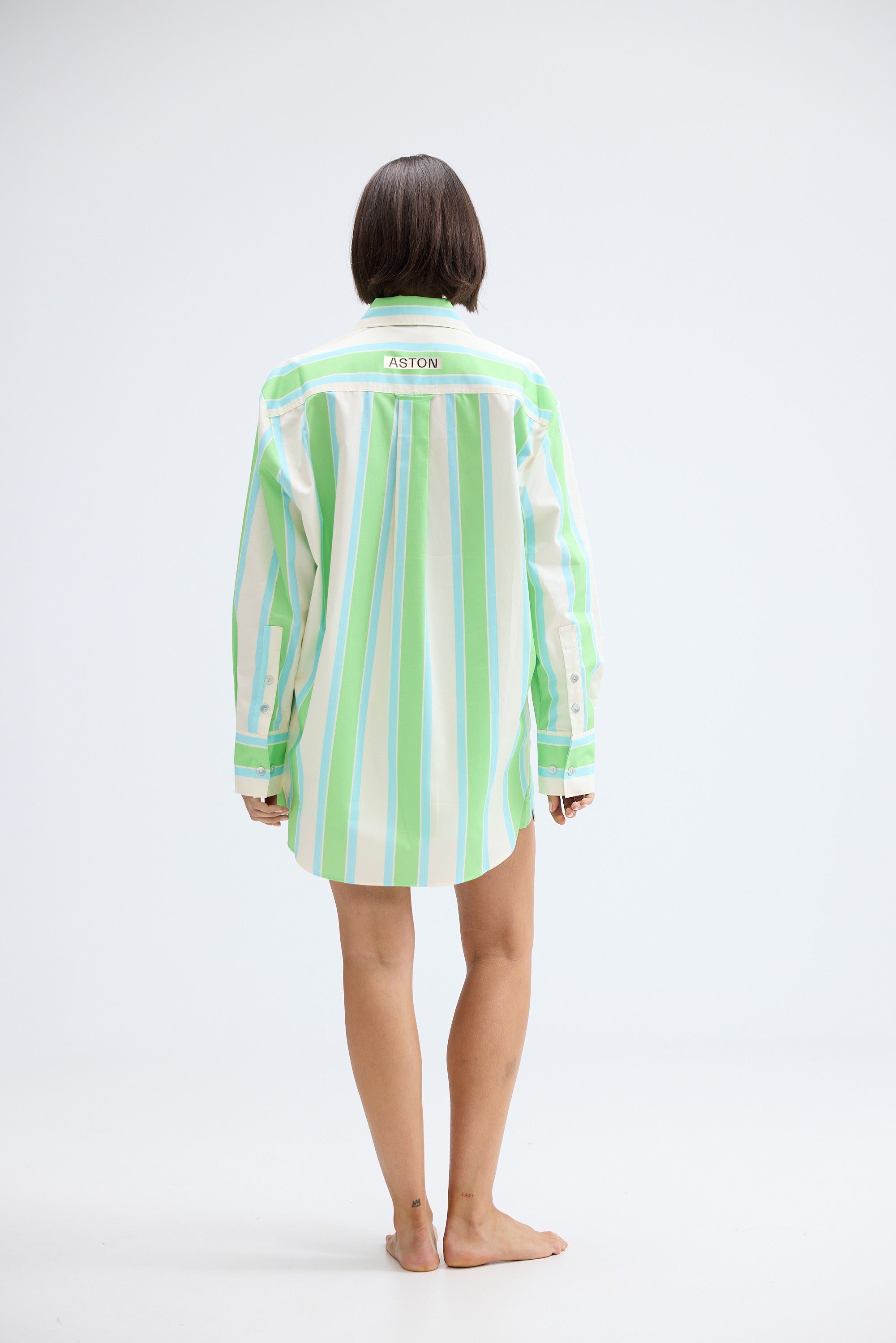 BUDDY SHIRT IN FERN LAPIS STRIPE