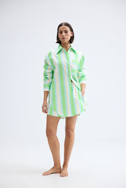BUDDY SHIRT IN FERN LAPIS STRIPE