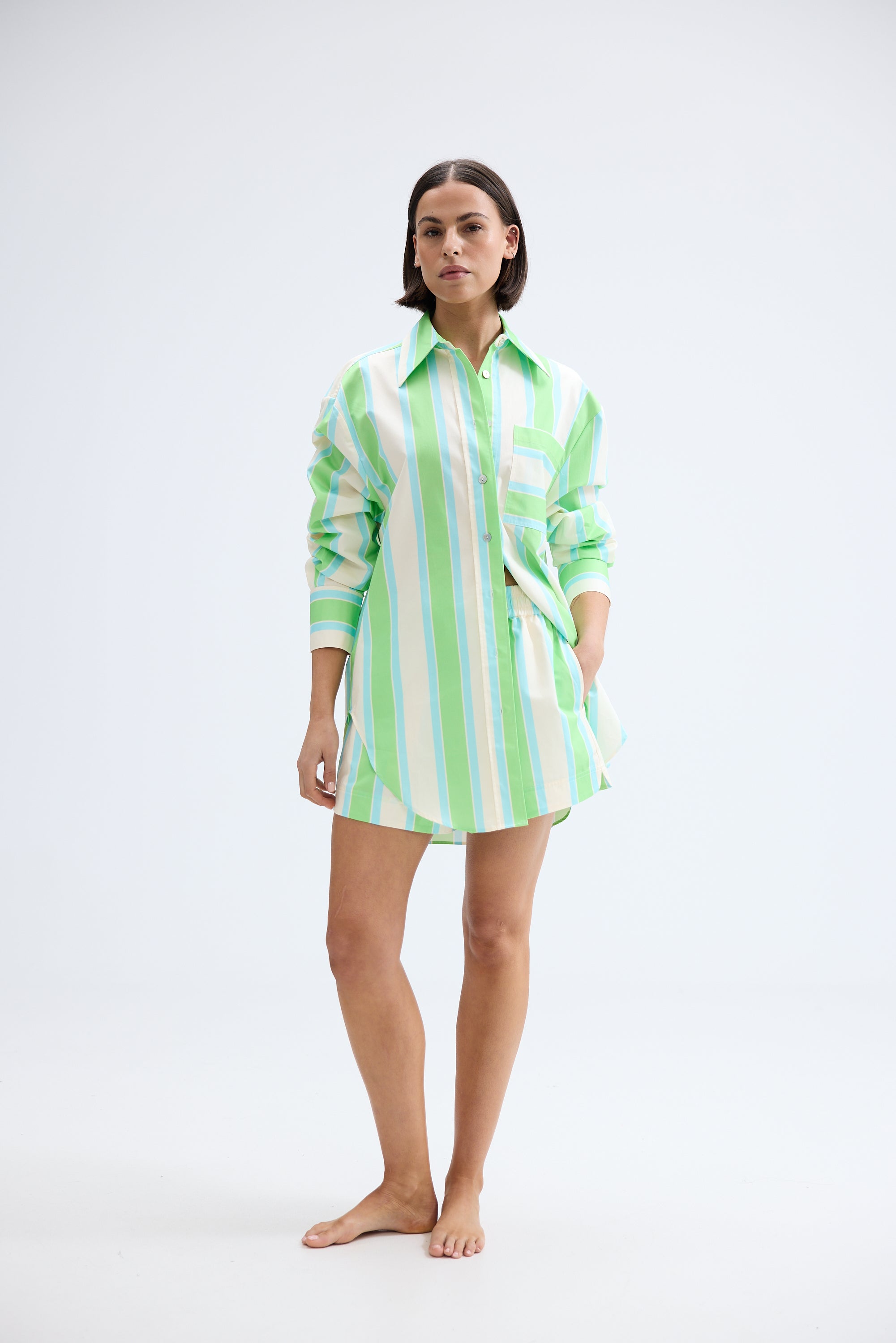 BUDDY SHIRT IN FERN LAPIS STRIPE