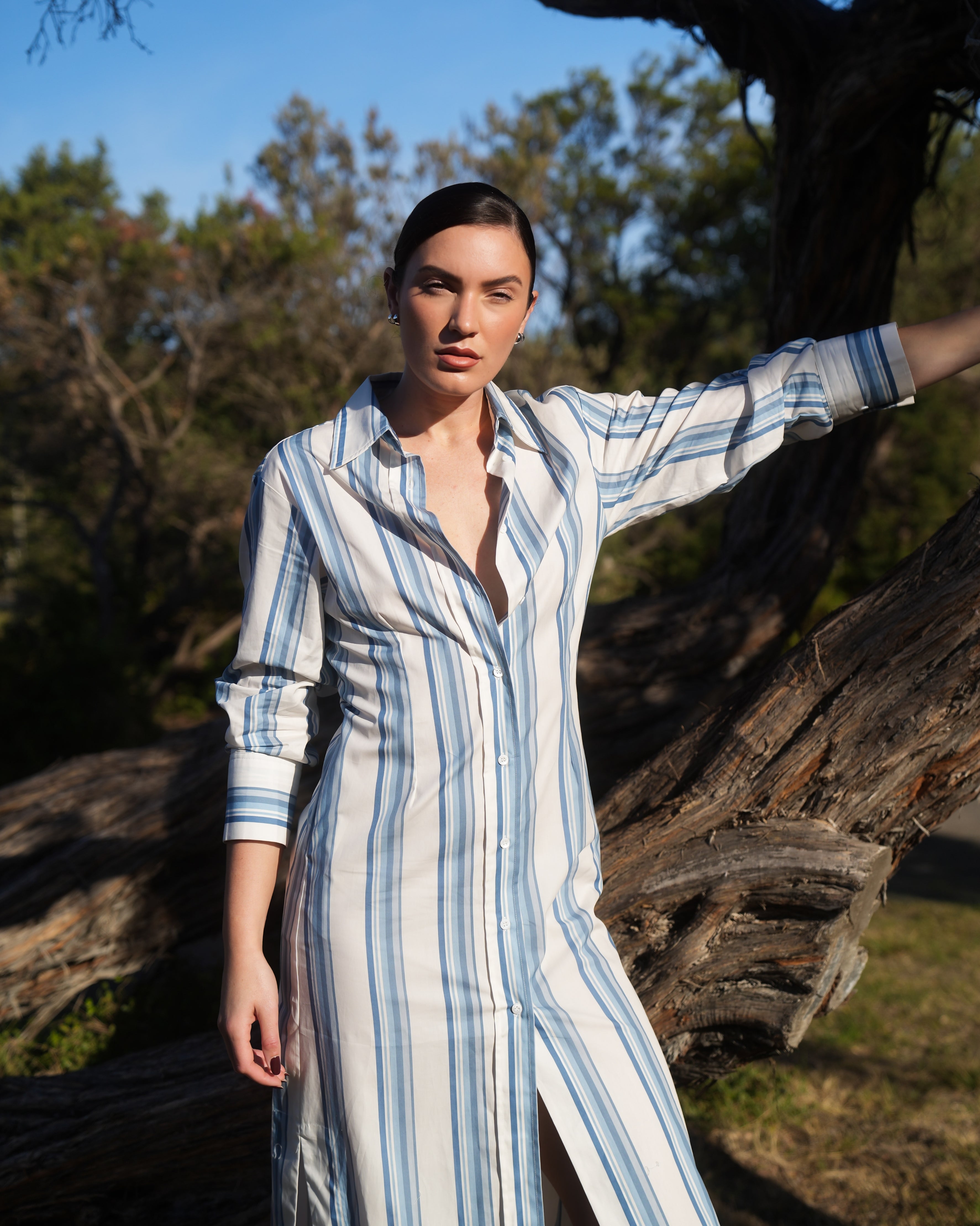 FINN SHIRT DRESS IN CERULEAN ANTIQUE STRIPE