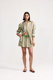 INDI SKIRT MEADOW STRIPE