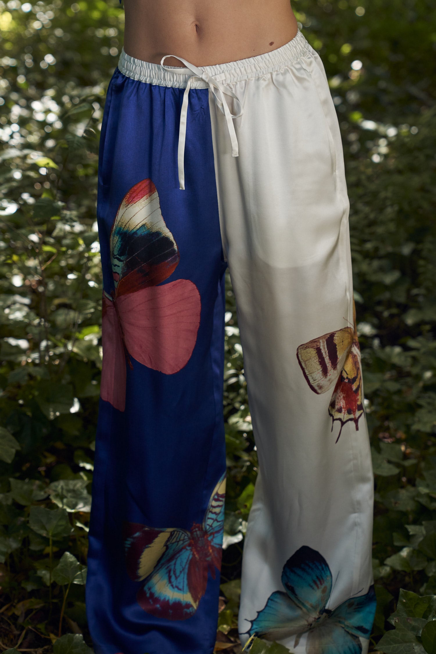 Papillion_2617.jpg